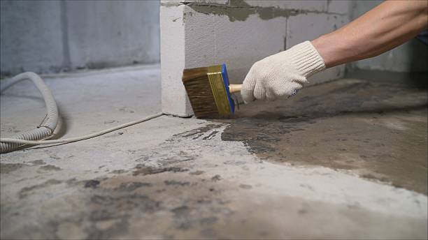 SJ Waterproofing Pros Interior Drainage System coverage map for Limestone, TN and surrounding area
